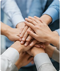 Working meetings and contract follow-up